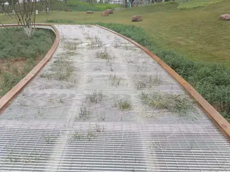 Sendero del Parque 1