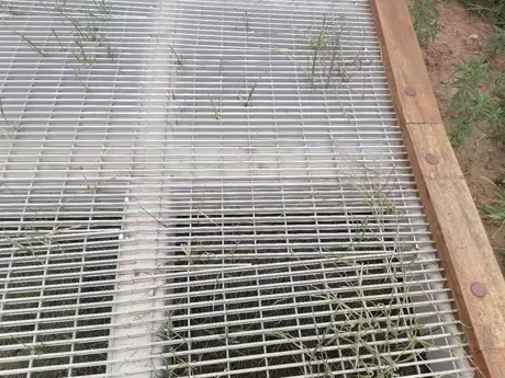 Sendero del Parque 2